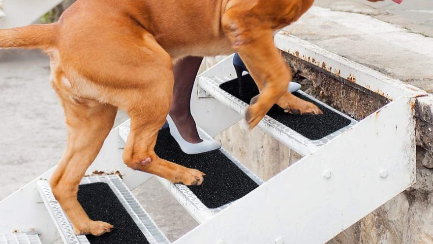 防滑貼，撐起一把生命的保護傘-防滑貼大量批發供應【昆山玉寰】